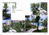 Landscaping Basic Plan of...,"The Renaissance Shore Resort" (2008)
